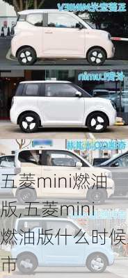 五菱mini燃油版,五菱mini燃油版什么时候上市