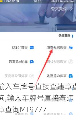 输入车牌号直接查违章查询,输入车牌号直接查违章查询MT9777