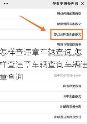 怎样查违章车辆查询,怎样查违章车辆查询车辆违章查询