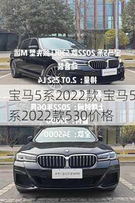 宝马5系2022款,宝马5系2022款530价格