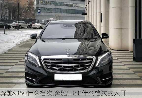 奔驰s350什么档次,奔驰S350什么档次的人开