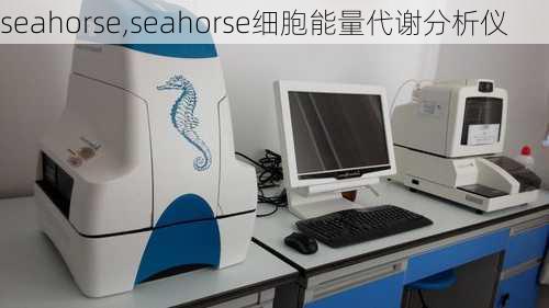 seahorse,seahorse细胞能量代谢分析仪