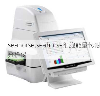 seahorse,seahorse细胞能量代谢分析仪