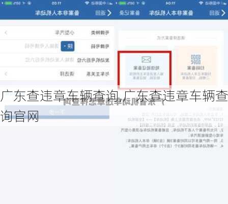 广东查违章车辆查询,广东查违章车辆查询官网