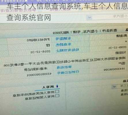 车主个人信息查询系统,车主个人信息查询系统官网