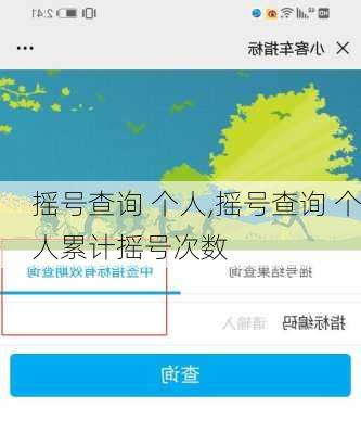 摇号查询 个人,摇号查询 个人累计摇号次数
