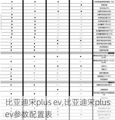 比亚迪宋plus ev,比亚迪宋plusev参数配置表