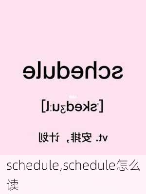 schedule,schedule怎么读