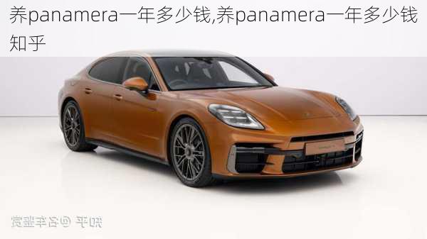 养panamera一年多少钱,养panamera一年多少钱知乎