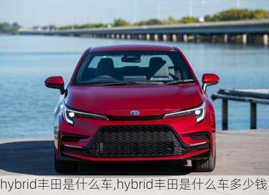 hybrid丰田是什么车,hybrid丰田是什么车多少钱