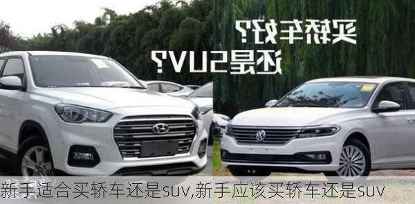 新手适合买轿车还是suv,新手应该买轿车还是suv