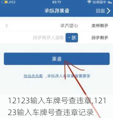 12123输入车牌号查违章,12123输入车牌号查违章记录