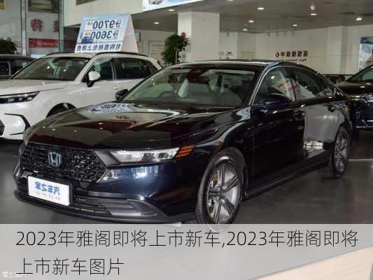 2023年雅阁即将上市新车,2023年雅阁即将上市新车图片