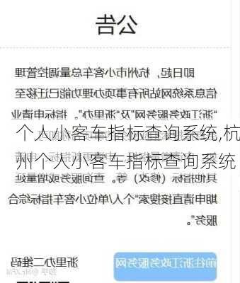 个人小客车指标查询系统,杭州个人小客车指标查询系统