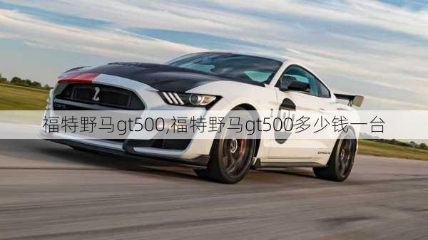 福特野马gt500,福特野马gt500多少钱一台