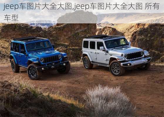 jeep车图片大全大图,jeep车图片大全大图 所有车型