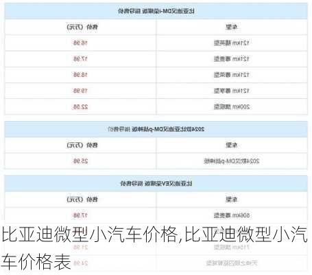 比亚迪微型小汽车价格,比亚迪微型小汽车价格表