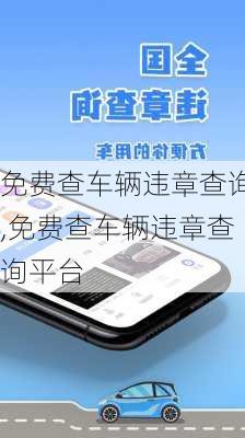 免费查车辆违章查询,免费查车辆违章查询平台