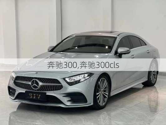 奔驰300,奔驰300cls