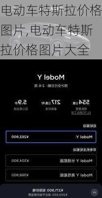 电动车特斯拉价格图片,电动车特斯拉价格图片大全
