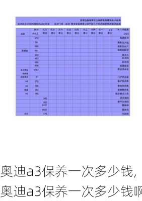 奥迪a3保养一次多少钱,奥迪a3保养一次多少钱啊