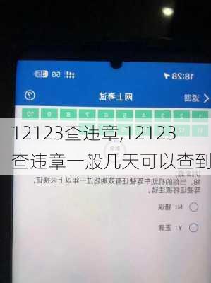 12123查违章,12123查违章一般几天可以查到