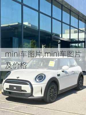 mini车图片,mini车图片及价格