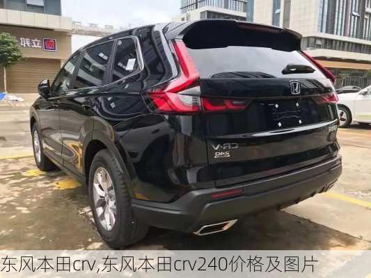 东风本田crv,东风本田crv240价格及图片